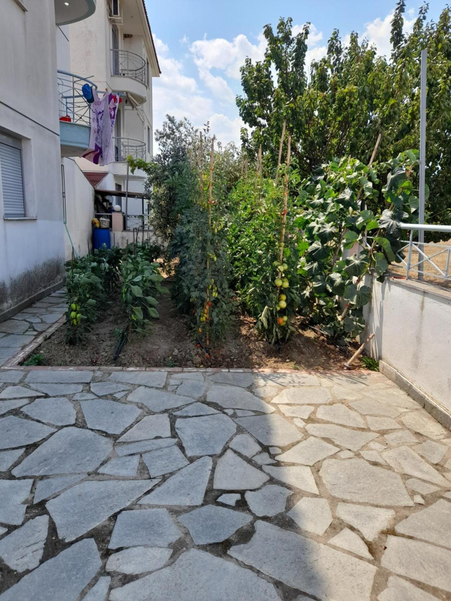 Dominikis Appartment Néa Péramos Exteriör bild